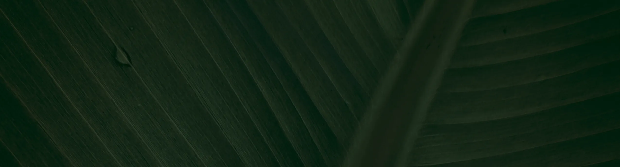 150 Sheets/Pack, Random Cute Cat-Themed Sticky Notes Set